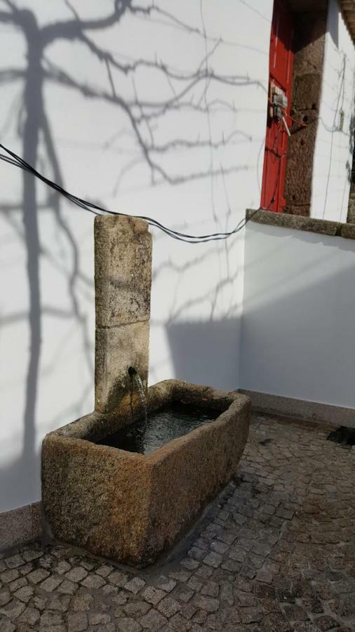 Casa Dos Namorados Vale de Cambra Bagian luar foto